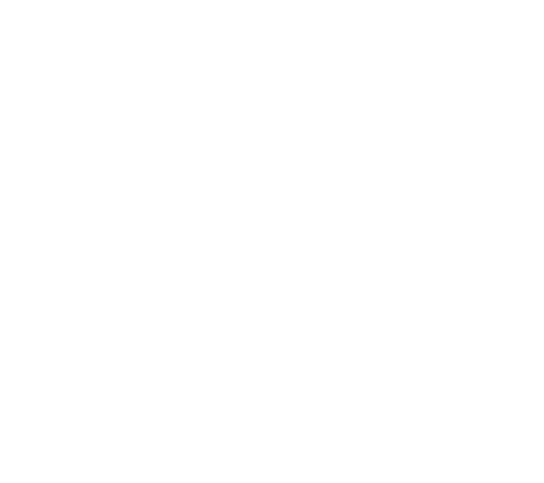 ZPAINT — Repair and car detailing