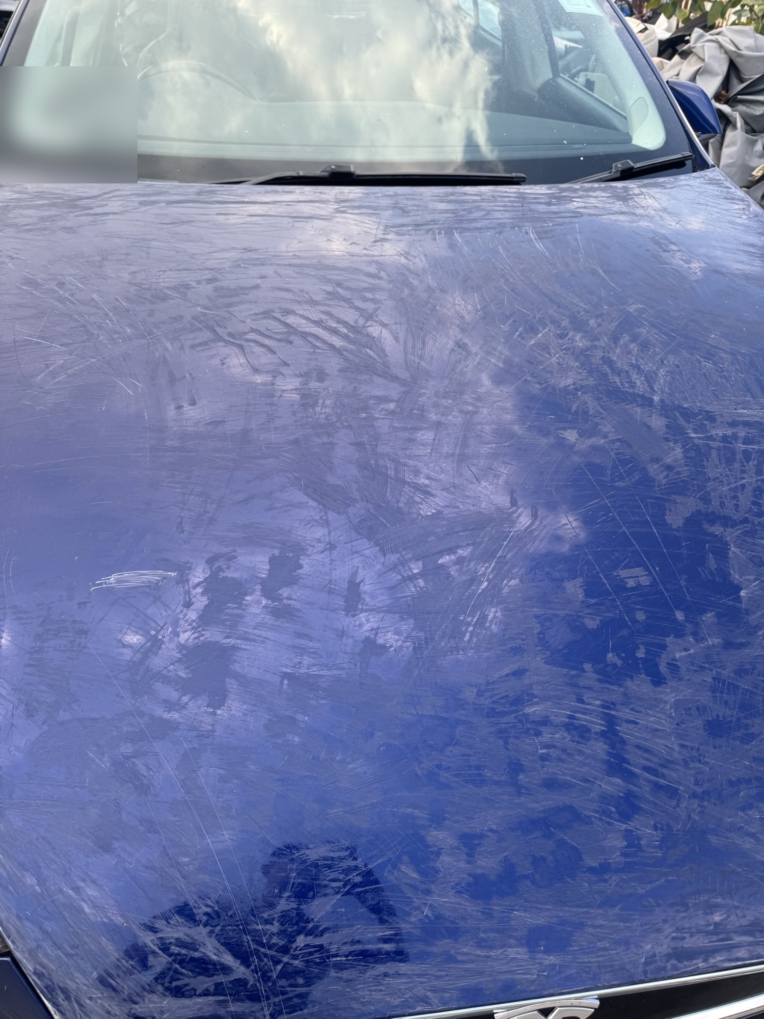 Tesla Model S 引擎蓋近拍，舊PPF老化溶膠加上密集幼紋刮痕